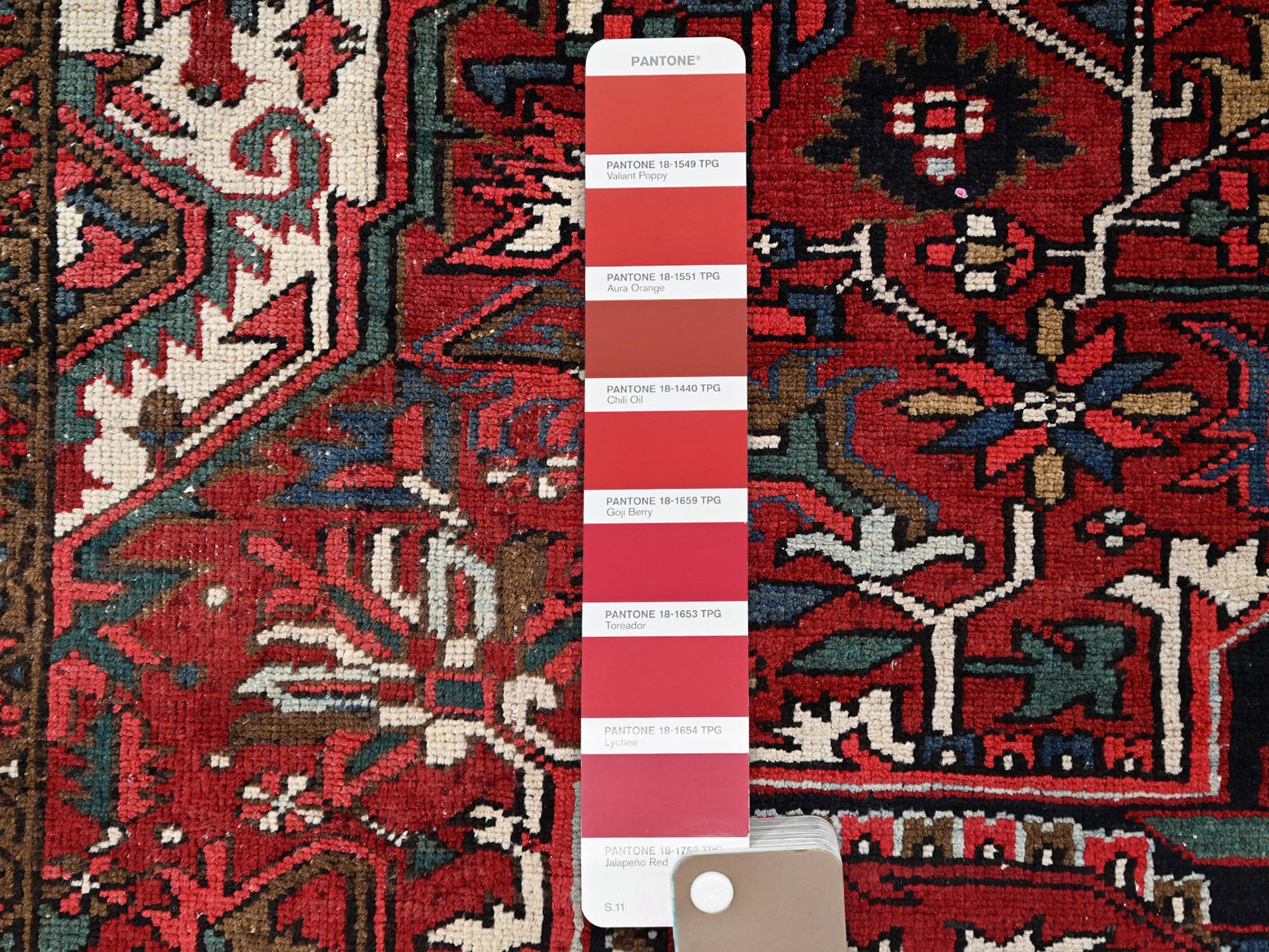 HerizRugs ORC775152